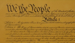 美国宪法与公民自由 American Constitutional Law and Civil Liberty