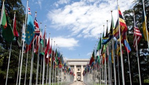 国际关系导论 Introduction to International Relations