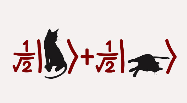 好奇心害死了薛定谔的猫？——量子物理与计算入门